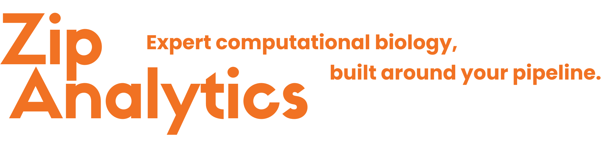 Zip Analytics